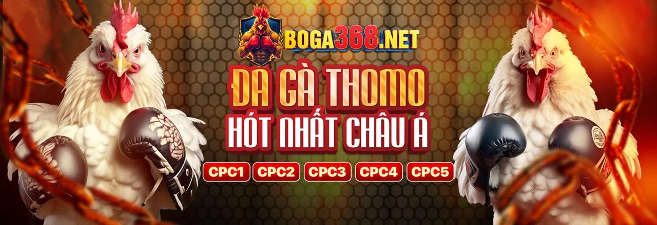 Đá gà trực tuyến kịch tính tại M88