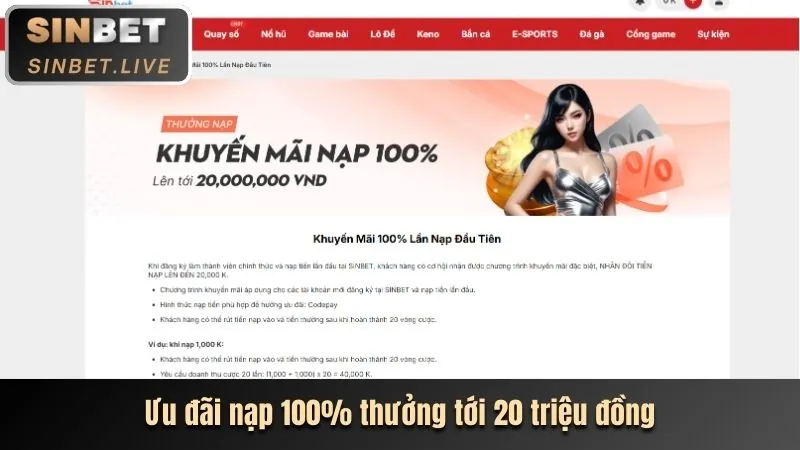 Tổng quan các chương trình khuyến mãi đa dạng